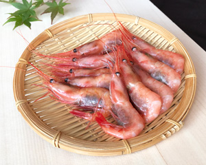 甘えび