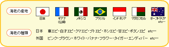おいしい海老の種類と産地一覧表
