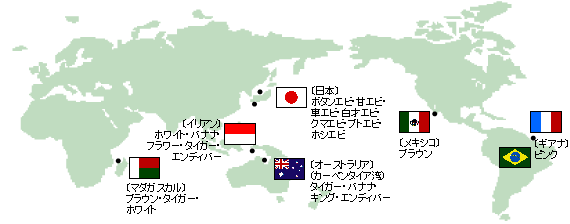 おいしい海老の世界地図